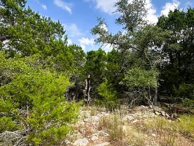 Property photo 5 at TBD LOT 4 Royal Eagle DR - Fischer, Fischer, TX