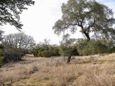 Photo 3 - TBD Lot 7 Whitetail TRL Photo 3 of 10 at TBD Lot 7 Whitetail TRL - San Saba, San Saba, TX