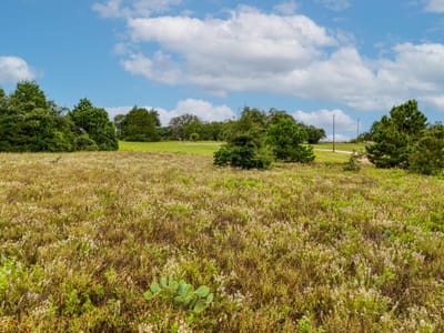 Property photo 3 at 00 Old Sayers RD - S5220 - Belltaire I, Bastrop, TX