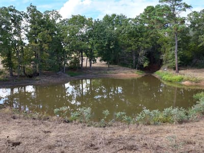 Photo 3 of 29 at TBD 71 Highway - Bastrop, Bastrop, TX