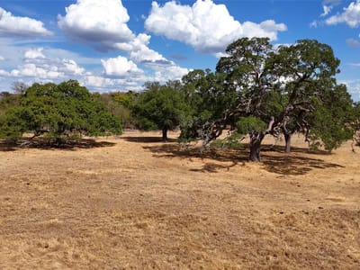 Photo 5 of 29 at TBD 71 Highway - Bastrop, Bastrop, TX