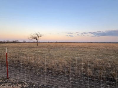 Photo 2 of 5 at TBD County Road 116 - Rogers, Rogers, TX