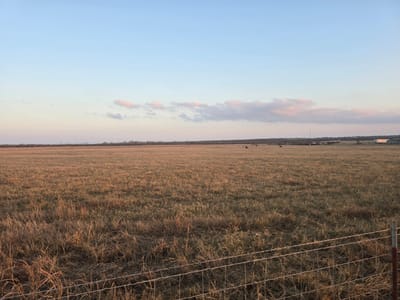 Photo 3 of 5 at TBD County Road 116 - Rogers, Rogers, TX