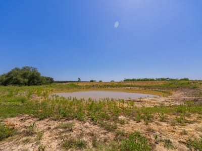 Photo 4 - TBD County Road 180 Rolling Pond Ranch Photo 4 of 21 at TBD County Road 180 Rolling Pond Ranch - Purmela, Purmela, TX
