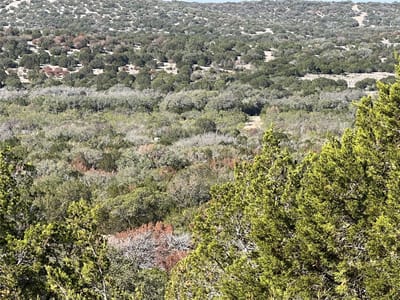 Photo 5 of 23 at TBD County Road 450 - Rocksprings, Rocksprings, TX