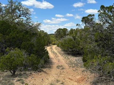Photo 3 of 9 at TBD County Road 529 - Mullin, Mullin, TX