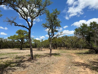 Photo 4 of 9 at TBD County Road 529 - Mullin, Mullin, TX