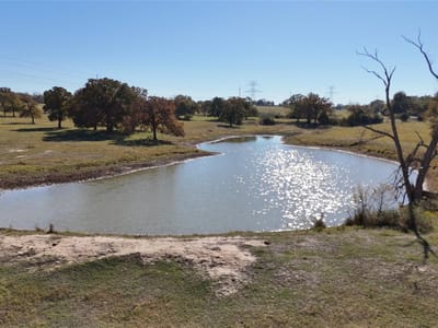 Photo 4 of 9 at TBD CR 481 Tract 2 - Thrall, Thrall, TX