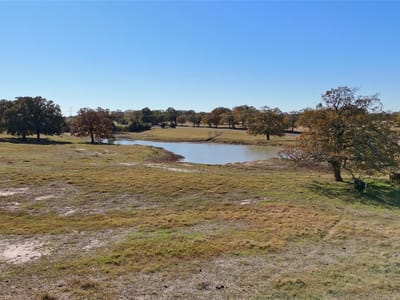 Photo 5 of 9 at TBD CR 481 Tract 2 - Thrall, Thrall, TX