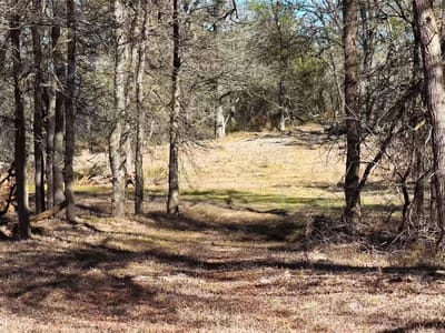 Photo 3 of 23 at TBD Lytton LN - Dale, Dale, TX