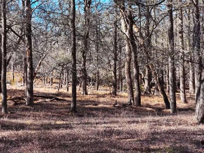 Photo 4 of 23 at TBD Lytton LN - Dale, Dale, TX