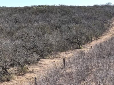 Photo 5 of 23 at TBD Lytton LN - Dale, Dale, TX