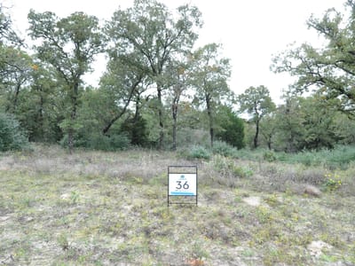 Photo 3 - TBD OakView LN Photo 3 of 5 at TBD OakView LN - Thrall, Thrall, TX