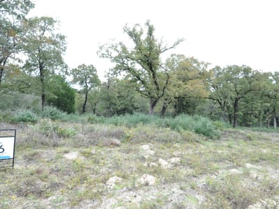 Photo 4 - TBD OakView LN Photo 4 of 5 at TBD OakView LN - Thrall, Thrall, TX
