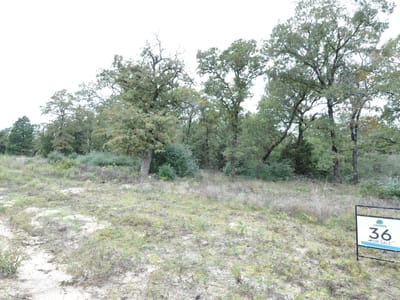 Photo 5 - TBD OakView LN Photo 5 of 5 at TBD OakView LN - Thrall, Thrall, TX