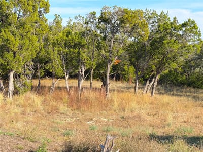 Property photo 3 at TBD Terra Vista CT - Canyon Lake, Canyon Lake, TX