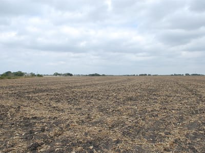Photo 5 - TBD Tract 3C Airville RD Photo 5 of 12 at TBD Tract 3C Airville RD - Temple, Temple, TX