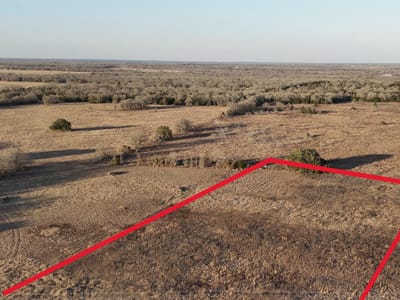 Photo 4 - TBD (Tract 5) CR 119 Photo 4 of 7 at TBD (Tract 5) CR 119 - Ledbetter, Ledbetter, TX