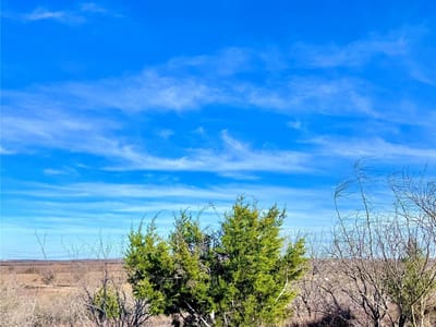 Photo 4 of 13 at TBD Tract H Scull Rd - Martindale, Martindale, TX