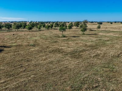 Photo 2 - TBD Walter Hoffman Rd. Photo 2 of 40 at TBD Walter Hoffman Rd. - Cedar Creek, Cedar Creek, TX