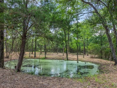 Photo 5 - TBD Weber RD Photo 5 of 8 at TBD Weber RD - Bryan, Bryan, TX