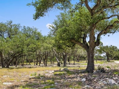 Property photo 2 at Tract 5 Cypress Cove RD - Spring Branch, Spring Branch, TX