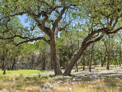 Property photo 3 at Tract 5 Cypress Cove RD - Spring Branch, Spring Branch, TX