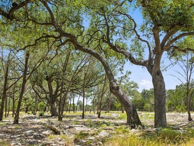 Property photo 4 at Tract 5 Cypress Cove RD - Spring Branch, Spring Branch, TX
