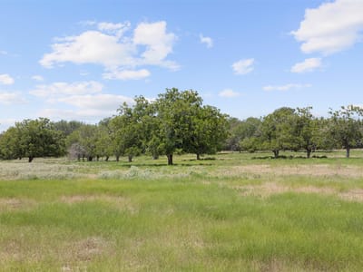 Photo 4 of 14 at Tract 5 FM 3158 - Dale, Dale, TX