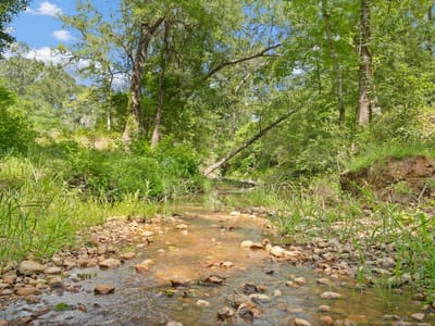 Photo 3 - TBD (Tracts 11 & 12) St Delight RD Photo 3 of 40 at TBD (Tracts 11 & 12) St Delight RD - Paige, Paige, TX