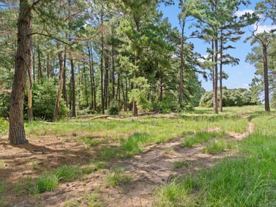 Photo 5 - TBD (Tracts 11 & 12) St Delight RD Photo 5 of 40 at TBD (Tracts 11 & 12) St Delight RD - Paige, Paige, TX