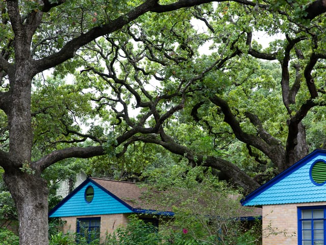 Tarrytown Lot vs. House Value