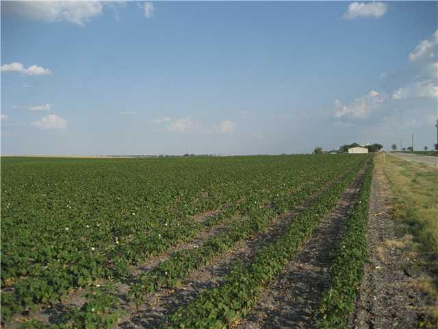 0 00 County Rd 417