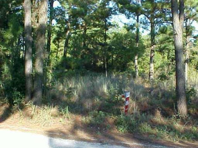 0 Bluebonnet