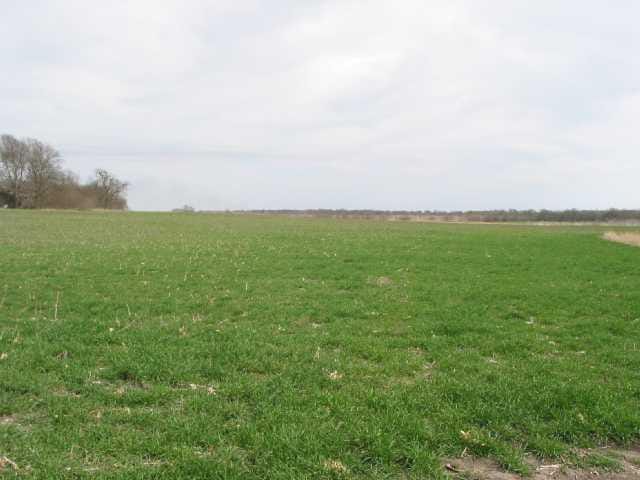 0 County Road 448
