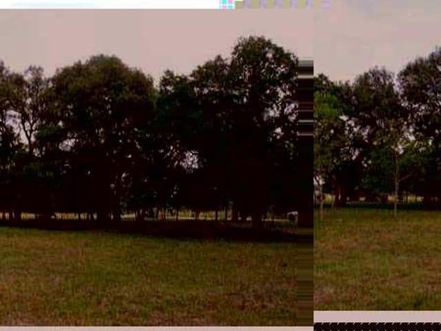 0 CR182/Darden Hill RD