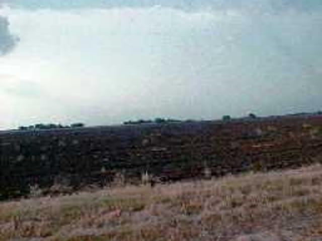 0 FM RD 1466