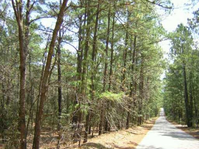 0 Forrest LN
