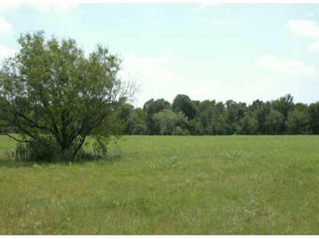 0 HWY 304, Tract 5