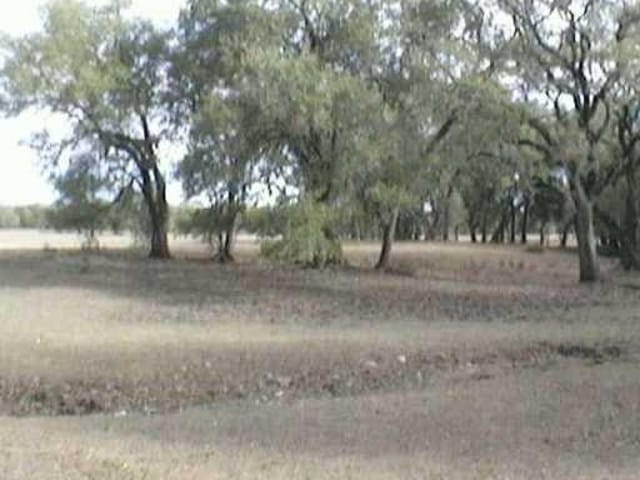 0 Lone Man MTN