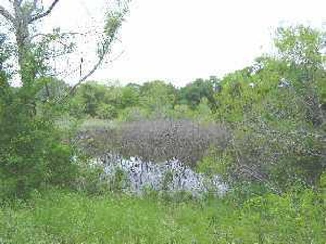 0 Lower Elgin RD