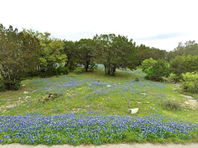 0 Maverick CIR