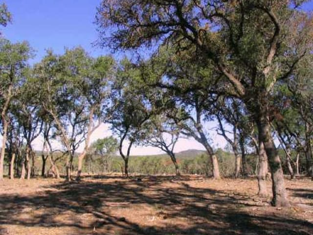 0 Middle Creek RD
