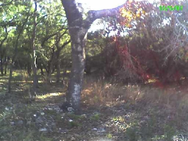 0 Mountain Crest DR