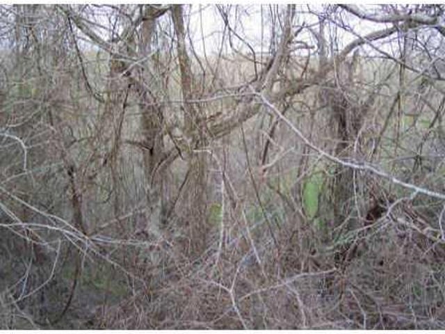 0 PEACH CREEK RD