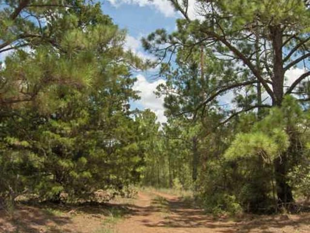 0 Pine Gap DR
