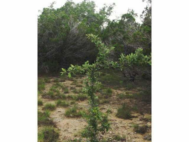0 Quail Creek RD