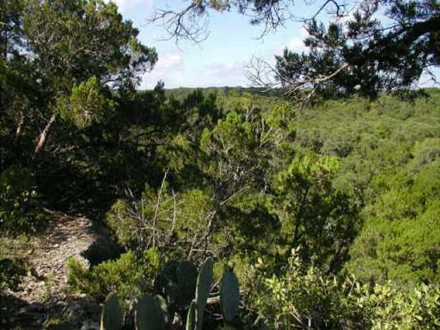 0 Signal Hill RD