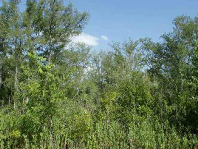 0 Upper Elgin River Roa