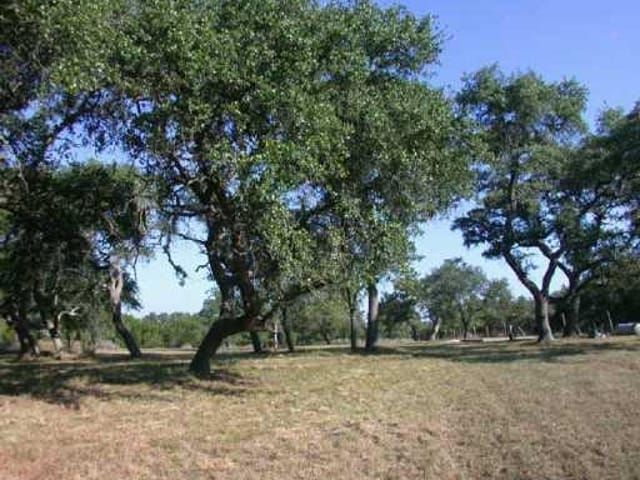 0 US HWY. 290